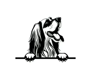 Download Afghan Hound Peeking Dog SVG - Black and White Silhouette Vector Graphic for Cricut, Wall Art, and Digital Design