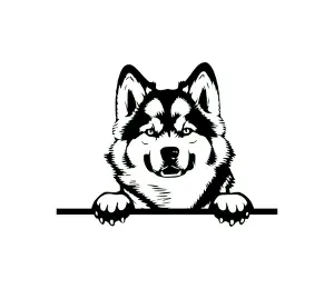 Download Alaskan Malamute Peeking Dog SVG | Black and White Silhouette | Digital Download for Cricut and Crafts