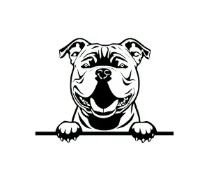 Download American Bully Peeking Dog SVG | Black and White Silhouette Vector Graphic | Digital Download for Cricut & Crafts