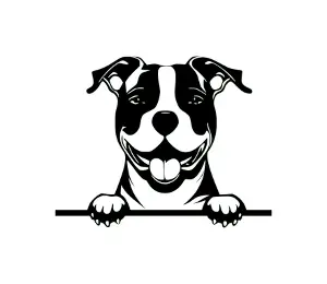 Download American Staffordshire Terrier Peeking Dog SVG | Black and White Silhouette | Vector Graphic Digital Download