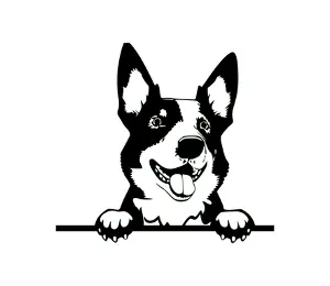 Download Australian Cattle Dog Peeking SVG | Black and White Dog Silhouette | Vector Graphic for Cricut and Crafts