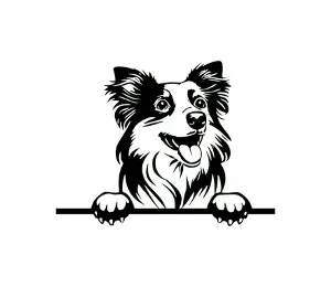 Download Australian Shepherd Peeking Dog SVG | Black and White Silhouette | Digital Download for Cricut and Vinyl Cutting