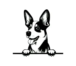 Download Basenji Peeking Dog SVG - Black and White Silhouette Vector Graphic for Cricut, Crafts, and Wall Decor