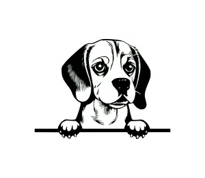 Download Beagle Peeking Dog SVG | Black and White Silhouette | Cute Pet Vector Graphic for Cricut, Crafts, and Digital Design