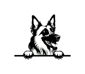 Download Belgian Tervuren Peeking Dog SVG | Black and White Silhouette | Digital Download for Cricut, Crafts, and Wall Art