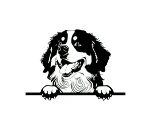 Download Bernese Mountain Dog Peeking SVG | Black and White Dog Silhouette | Digital Download for Cricut, Crafts