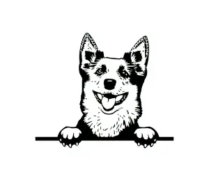 Download Blue Heeler Peeking Dog SVG - Australian Cattle Dog Silhouette Vector Graphic for Cricut, Vinyl Cutting, and Digital Design