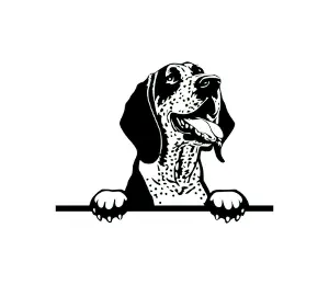 Download Bluetick Coonhound Peeking Dog SVG | Black and White Silhouette | Digital Download for Cricut, Crafts