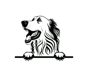 Download Borzoi Peeking Dog SVG Silhouette | Black and White Vector Graphic | Digital Download for Cricut