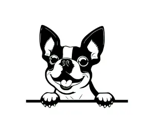 Download Boston Terrier Peeking Dog SVG | Black and White Silhouette Clipart | Digital Download for Cricut, Crafts