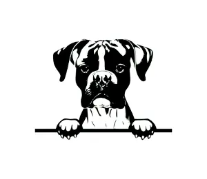 Download Boxer Peeking Dog SVG | Black and White Silhouette | Digital Download for Cricut, Vinyl Cutting, and Crafts