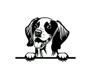 Download Brittany Peeking Dog SVG | Black and White Silhouette | Cricut Design | Vinyl Cutting | Digital Download