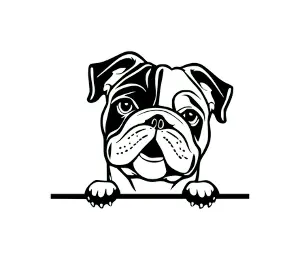 Download Bulldog Peeking Dog SVG - Black and White Silhouette for Cricut, Vinyl Cutting, and DIY Projects