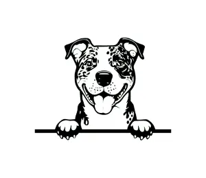 Download Catahoula Peeking Dog SVG | Black and White Silhouette | Digital Download for Cricut, Vinyl Cutting, and Crafts