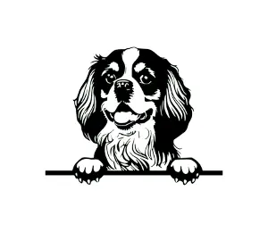 Download Cavalier King Charles Spaniel Peeking Dog SVG - Black and White Silhouette Vector Graphic