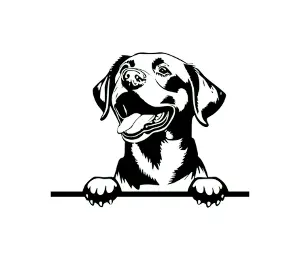 Download Chesapeake Bay Retriever Peeking Dog SVG | Black and White Silhouette | Vector Graphic for Cricut and Crafts