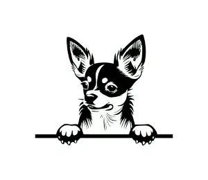 Download Chihuahua Peeking Dog SVG | Black and White Silhouette | Cute Pet Vector Graphic for Cricut and Crafts