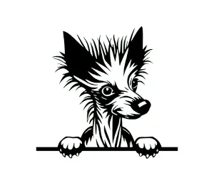 Download Chinese Crested Peeking Dog SVG - Black and White Silhouette Vector Graphic for Cricut, Crafts, and Wall Decor