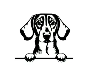 Download Dachshund Peeking Dog SVG | Black and White Silhouette | Digital Download for Cricut, Crafts, and Home Decor