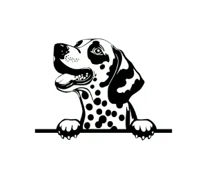 Download Dalmatian Peeking Dog SVG - Black and White Silhouette for Cricut, Vinyl Cutting, and Crafts