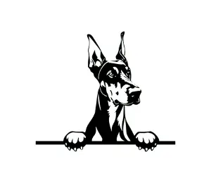 Download Doberman Peeking Dog SVG | Black and White Silhouette Clipart | Digital Download for Cricut and Crafts