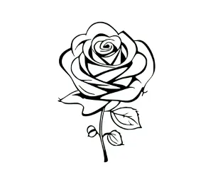 Download Elegant Rose Outline SVG Silhouette | Free Simple Rose SVG for Cricut | Digital Cutting File for Crafters