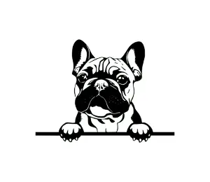 Download French Bulldog Peeking Dog SVG - Cute Black and White Silhouette Vector Graphic for Cricut Projects