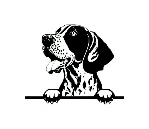 Download German Shorthaired Pointer Peeking Dog SVG | Black and White Silhouette | Digital Vector Graphic