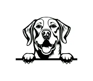 Download Golden Retriever Peeking Dog SVG - Black and White Silhouette for Cricut, Vinyl Cutting, and Craft Projects