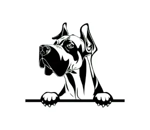 Download Great Dane Peeking Dog SVG - Black and White Silhouette Vector Graphic for Cricut and DIY Projects
