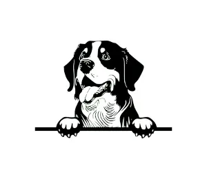 Download Greater Swiss Mountain Dog Peeking SVG | Black and White Dog Silhouette | Canine Vector Graphic for Crafts