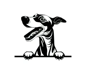 Download Greyhound Peeking Dog SVG - Black and White Silhouette Vector Art for Cricut and Vinyl Cutting