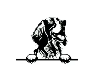 Download Irish Setter Peeking Dog SVG - Black and White Silhouette Vector Graphic for Cricut and Craft Projects