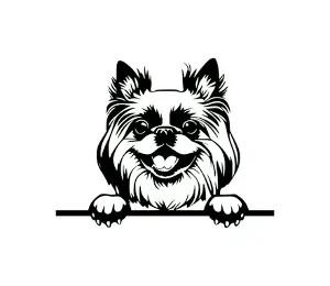 Download Japanese Chin Peeking Dog SVG | Black and White Silhouette | Digital Design for Cricut and Vinyl Cutting