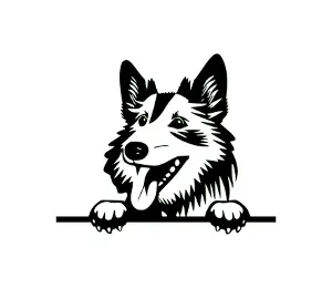 Download Keeshond Peeking Dog SVG - Cute Canine Silhouette for Cricut, Crafts, and DIY Projects