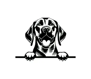 Download Labrador Peeking Dog SVG | Black and White Silhouette Vector Graphic | Digital Download for Cricut & Crafts