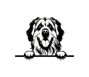 Download Leonberger Peeking Dog SVG | Black and White Silhouette | Digital Download for Cricut and Crafts