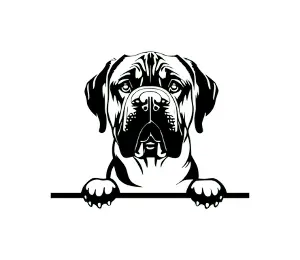 Download Mastiff Peeking Dog SVG | Black and White Silhouette | Digital Download for Cricut and Crafts