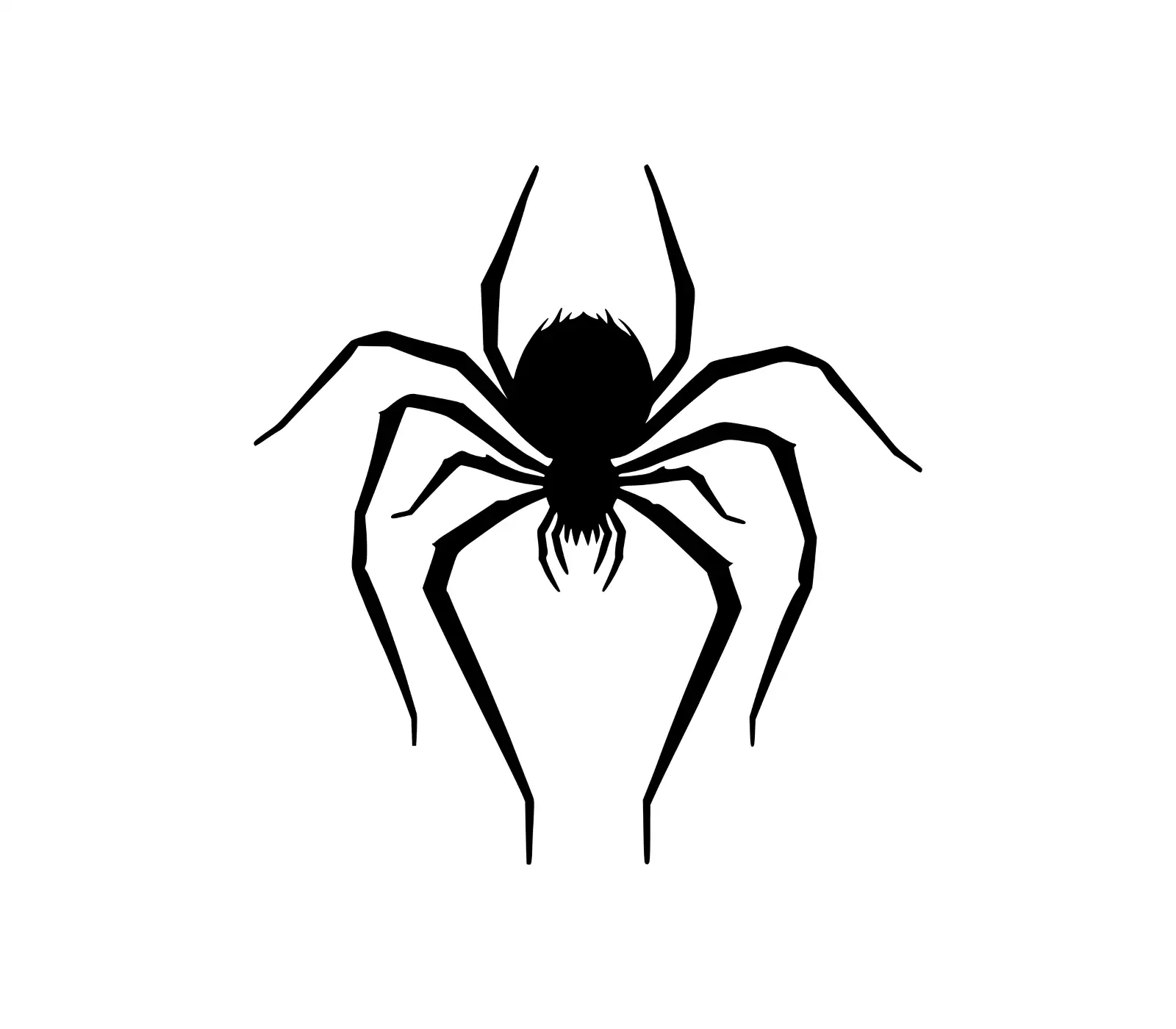 Black Widow Spider SVG | Halloween Decoration Design