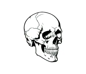 Download Skull SVG Free: Menacing Pirate Skull Art for Punisher & Crossbones Designs