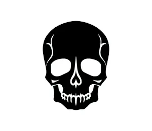 Download Skull SVG | Pirate Skull Vector Art | Free Downloadable Skull and Crossbones Design