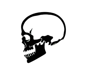 Download Skull SVG Free: Menacing Pirate Skull Profile Art for Punisher-Style Designs