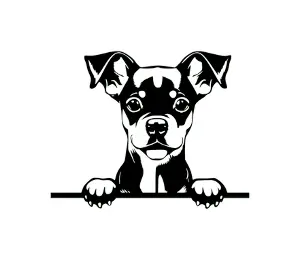 Download Miniature Pinscher Peeking Dog SVG | Black and White Silhouette Vector Graphic | Digital Download