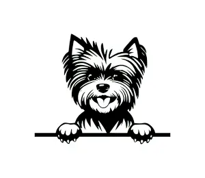 Download Morkie Peeking Dog SVG - Cute Black and White Silhouette for Cricut, Crafts, and DIY Projects