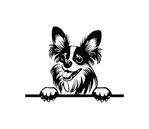 Download Papillon Peeking Dog SVG: Adorable Black and White Silhouette for Crafts and Design Projects