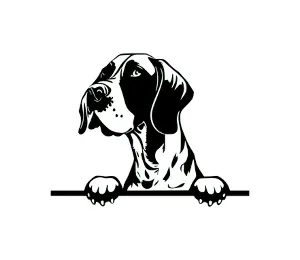 Download Pointer Peeking Dog SVG | Black and White Silhouette | Digital Download for Cricut, Crafts, and Design