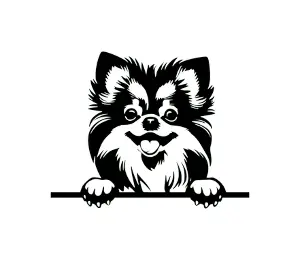 Download Pomeranian Peeking Dog SVG - Black and White Silhouette Vector Clipart for Cricut and Crafts