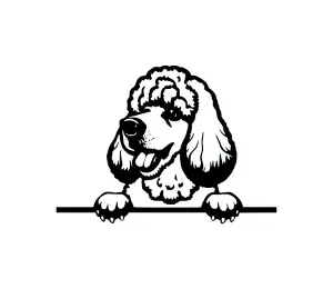 Download Poodle Peeking Dog SVG - Black and White Silhouette Digital Download for Cricut, Crafts, and DIY Projects