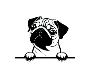 Download Pug Peeking Dog SVG - Cute Black and White Silhouette for Cricut, Crafts, and Digital Design