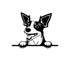 Download Rat Terrier Peeking Dog SVG | Black and White Silhouette Clipart | Digital Download for Cricut